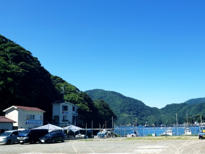 田子・浮島のスタイル