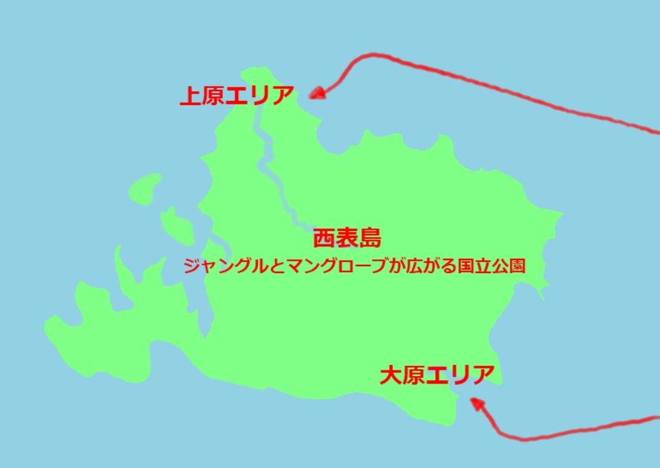 西表島のダイビングスタイル