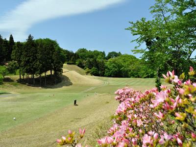 長瀞カントリークラブの最新画像