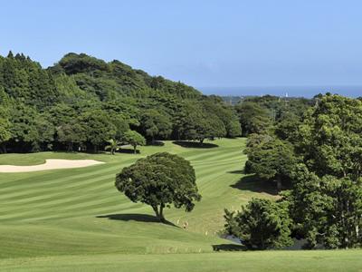 勝浦東急ゴルフコースの最新画像