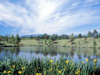 東蔵王ゴルフ倶楽部の最新画像