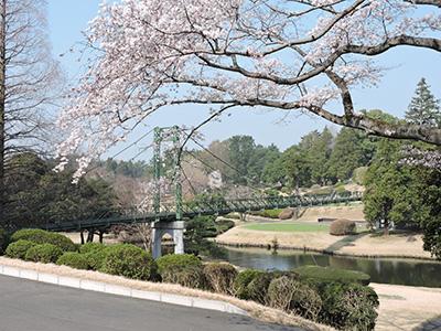 中山カントリークラブの最新画像