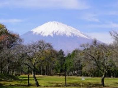 高嶺の森のゴルフクラブの最新画像