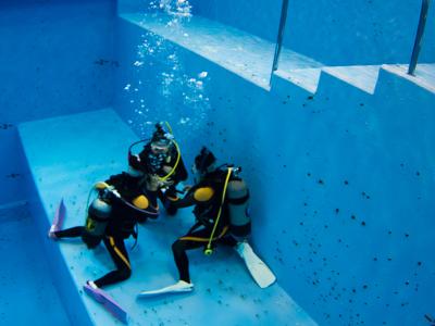 オーシャンドリームの最新写真