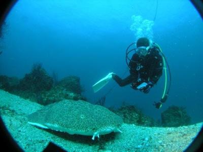 アトリエラウトの最新写真