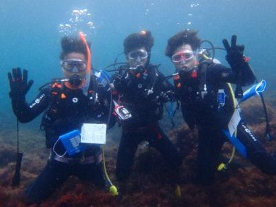 ダイビングスクール海の学校の最新写真