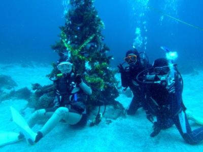 アクオスーイズ AQUOS-IZUの最新写真