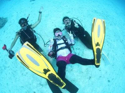 ビーチライフ石垣島の最新画像