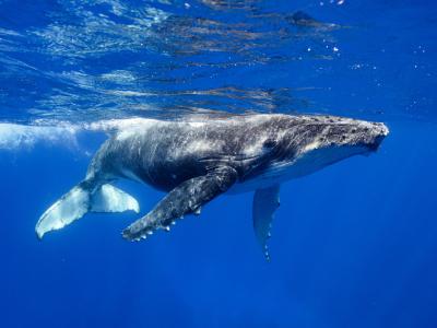 ON SHORE オンショアの最新写真