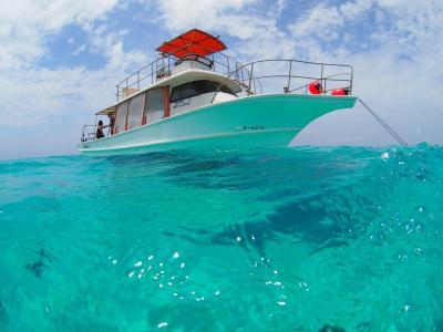 宮古島ダイビングステーションKANCHIの最新写真