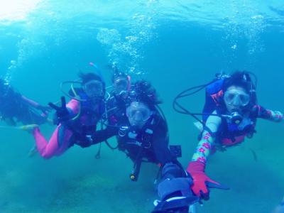 アリストダイバーズ ARISTO DIVERSの最新写真