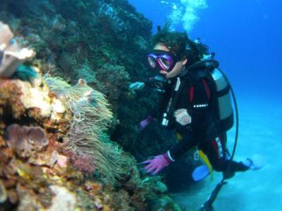 あまみこダイバー amamicoDIVERの最新写真