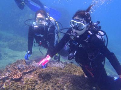 宮崎シークイーン南郷ダイブセンターの最新写真