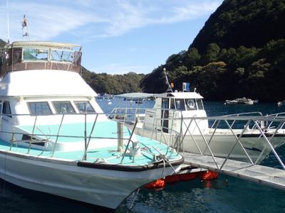 mtkサービスの最新写真