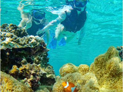 与那国島ツアー むんぶリゾートの最新写真