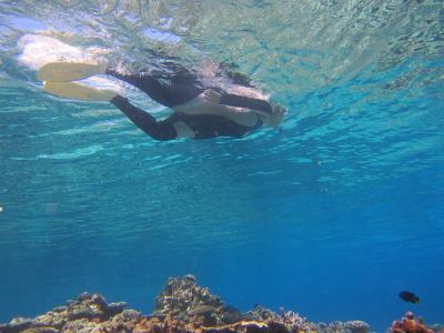 ＪＡＭマリンクラブの最新写真