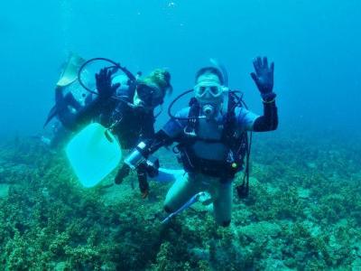 田辺ダイビングサービスの最新写真