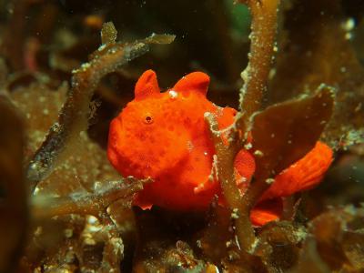 マレア池袋店の最新写真