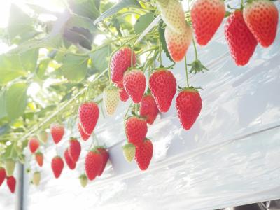 ダイビングショップ　アリエスの最新写真