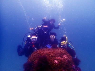 トレバリーズ オーシャンの最新写真