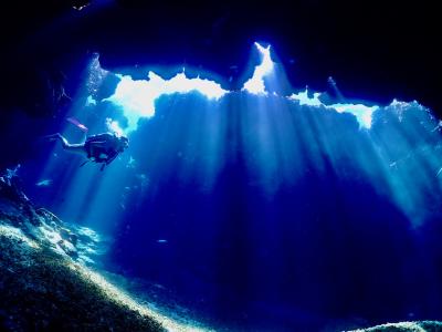 パイプラインマリン PIPELINE MARINEの最新写真