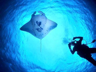 HANON Diving Serviceの最新写真