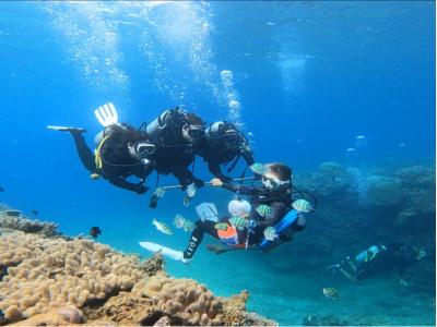 本部ダイビングショップ TI.OCEANの最新画像