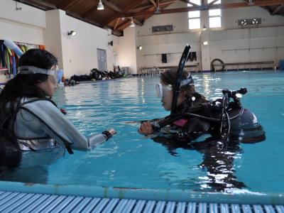 ＯＣＥＡＮ　ＳＴＡＧＥの最新写真