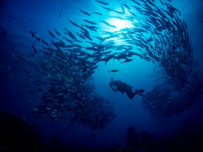 マリンハウスカナロアの最新写真