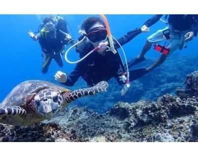 ダイバーズインク divers inc.の最新写真