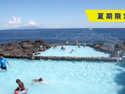 伊豆海洋公園ダイビングセンターの最新画像