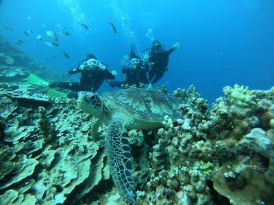 WANDERERS ワンダラーズの最新写真