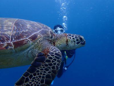 ヌヌ・アドベンチャー・クラブ石垣島の最新画像