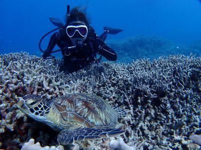 ヌヌ・アドベンチャー・クラブ石垣島の最新画像