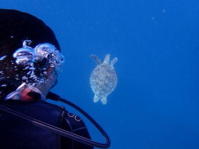 ヌヌ・アドベンチャー・クラブ石垣島の最新写真