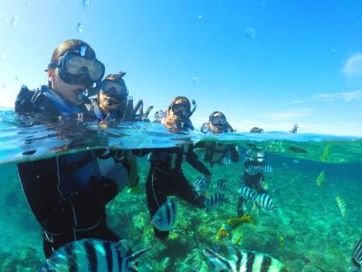 ダイビングショップ　アリエスの最新写真