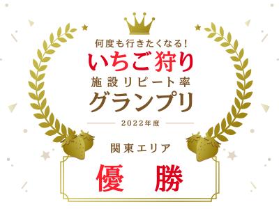 ワイズダイビングサポートの最新写真