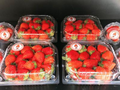 ストロベリーヴィレッジこうざきの最新画像