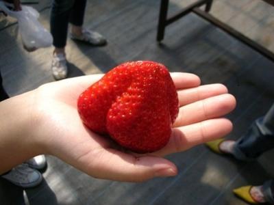 グルメいちご館前田の最新画像
