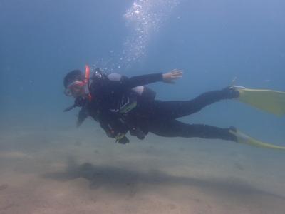NOAH’S DIVE WAKAYAMA ノアズダイブの最新画像