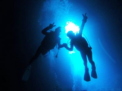 シートラベラーの最新写真