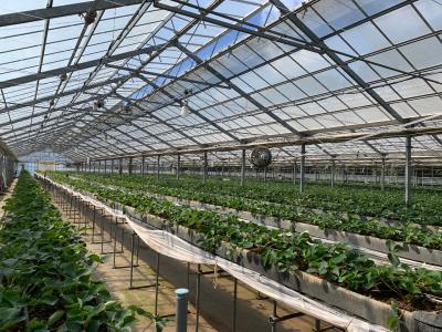 ゆめが丘農園の最新写真