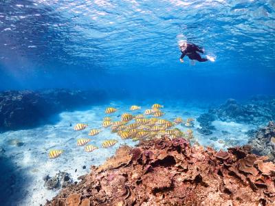 Lilo Miyakojima リロ ミヤコジマの最新写真