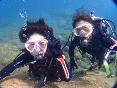 西伊豆ダイビングサービス UMIKOZOUの最新写真