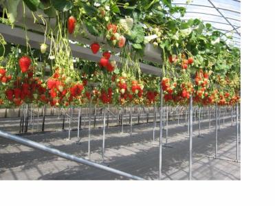 樋の口園の最新写真