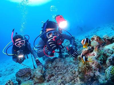 Craft Dive クラフトダイブの最新写真