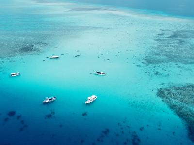 シーメイドの最新写真