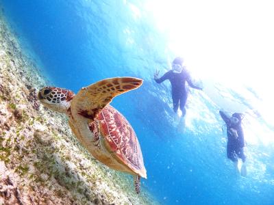 ダイビング ネイティブシー奄美の最新写真