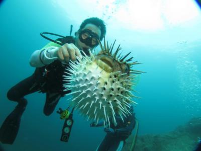 DIVING LIFESTYLE CREATOR SEAREX シーレックスの最新写真