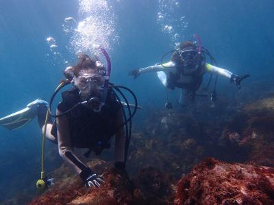 WITH新宿の最新写真